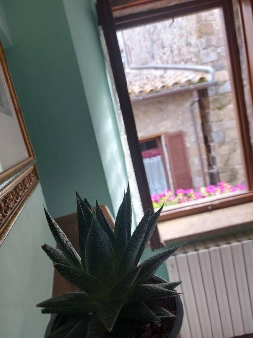 Casa Rosita Vista Lago Bolsena Luaran gambar