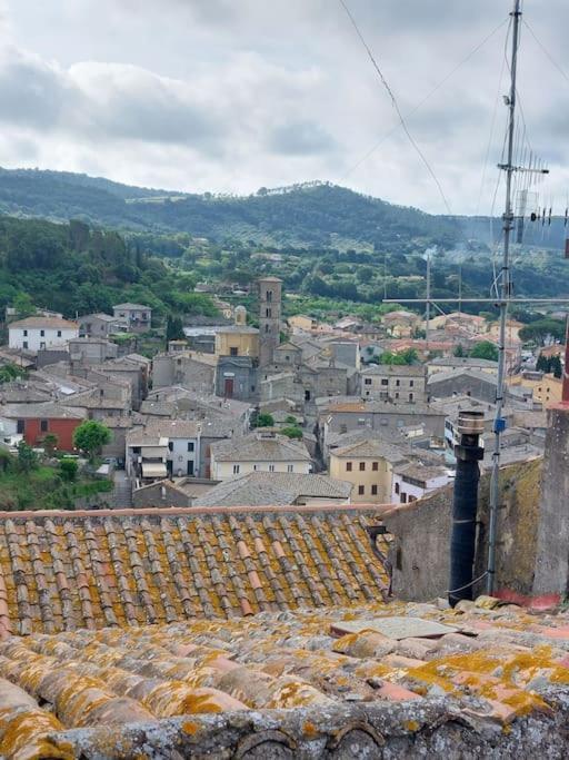 Casa Rosita Vista Lago Bolsena Luaran gambar